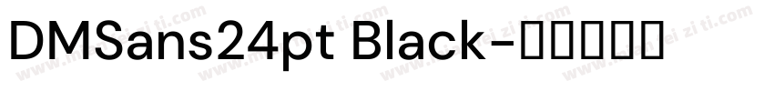 DMSans24pt Black字体转换